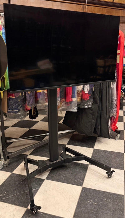 Televisie 55" Philips inclusief poot op wieltjes | Scattando