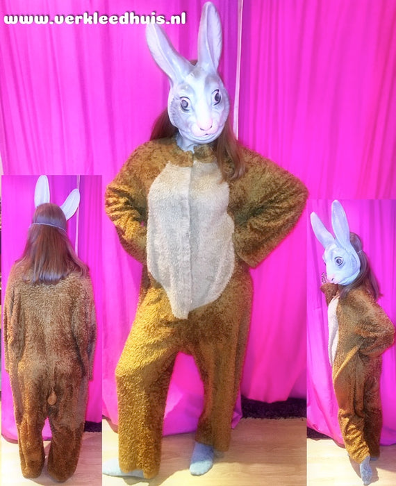 Paashaas kostuum compleet uitverkoop - Scattando Webshop