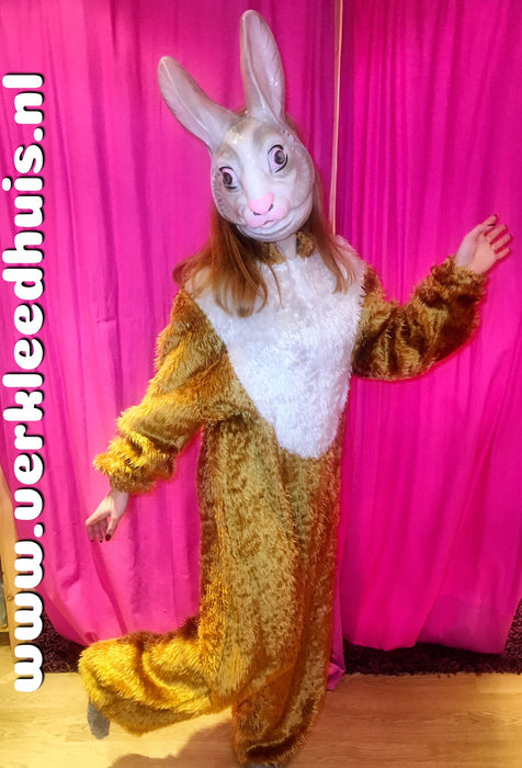 Paashaas kostuum compleet uitverkoop - Scattando Webshop