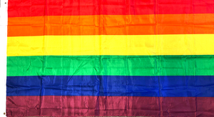 Regenboog vlag 1x1,5 mtr - Scattando Verkleedhuis