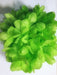 Haarclip Dahlia Groen - Scattando Webshop